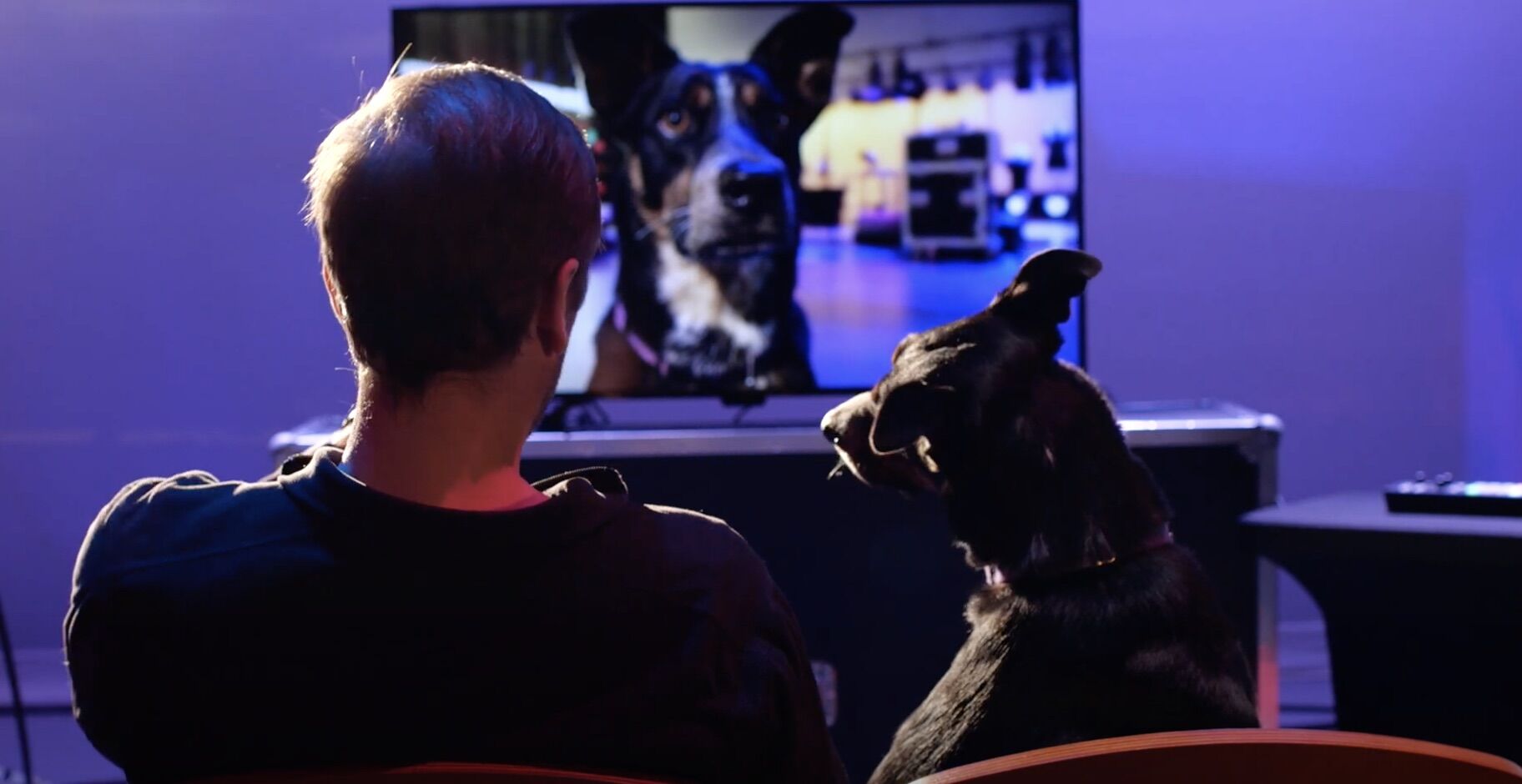 Riley the tech dog in 'Setting the Stage'